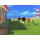 Switch Tomodachi Life Living the Dream - 1503556 - zdjęcie 4